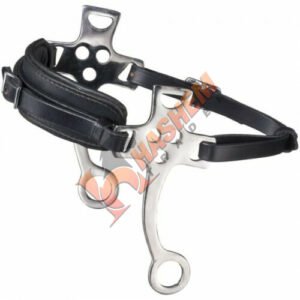 Hackamore