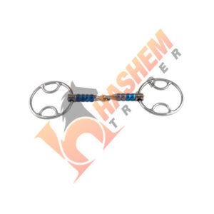Colored Bit