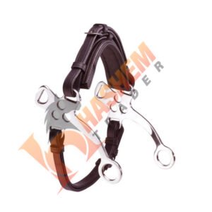 Hackamore